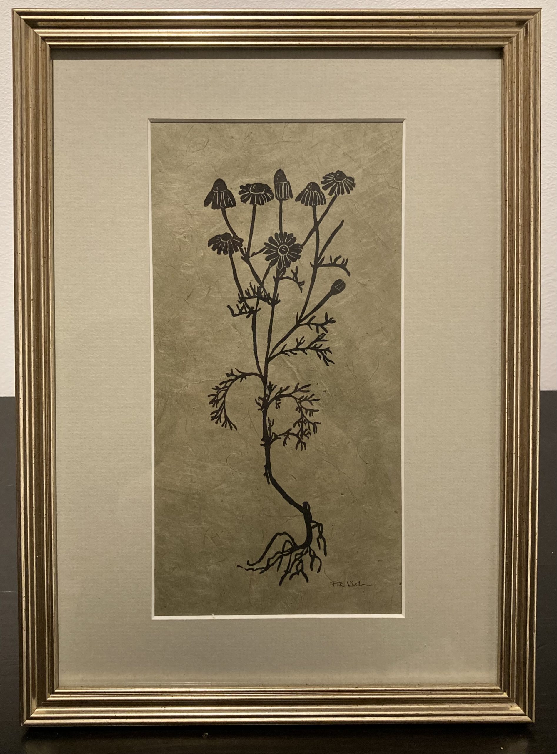 Matricaria chamomilla L. (Echte Kamille)