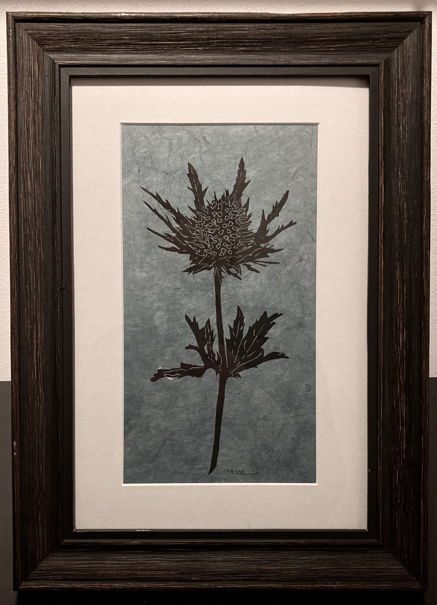 Eryngium (Mannstreu)