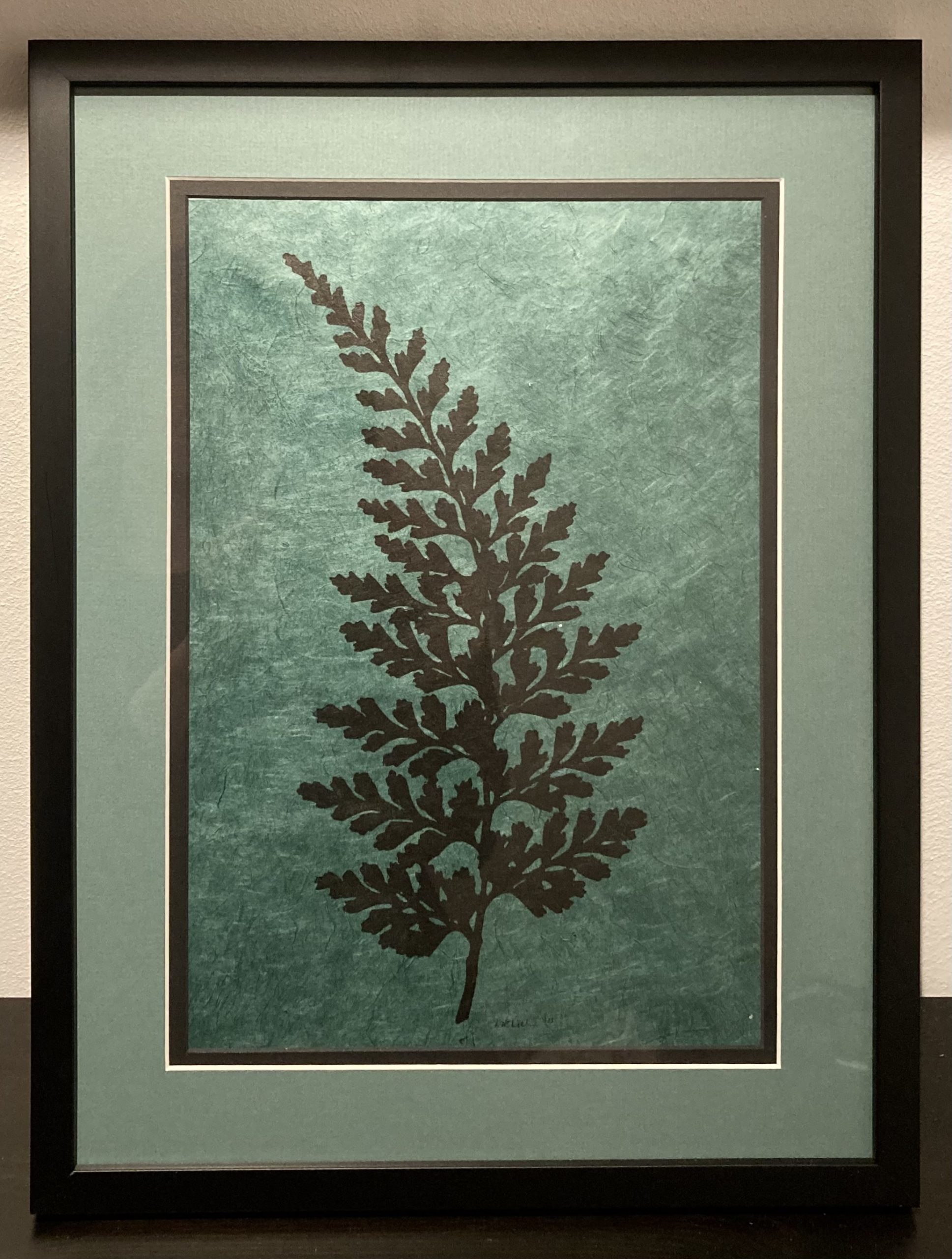 Silhouette Asplenium sarelii (Streifenfarn)