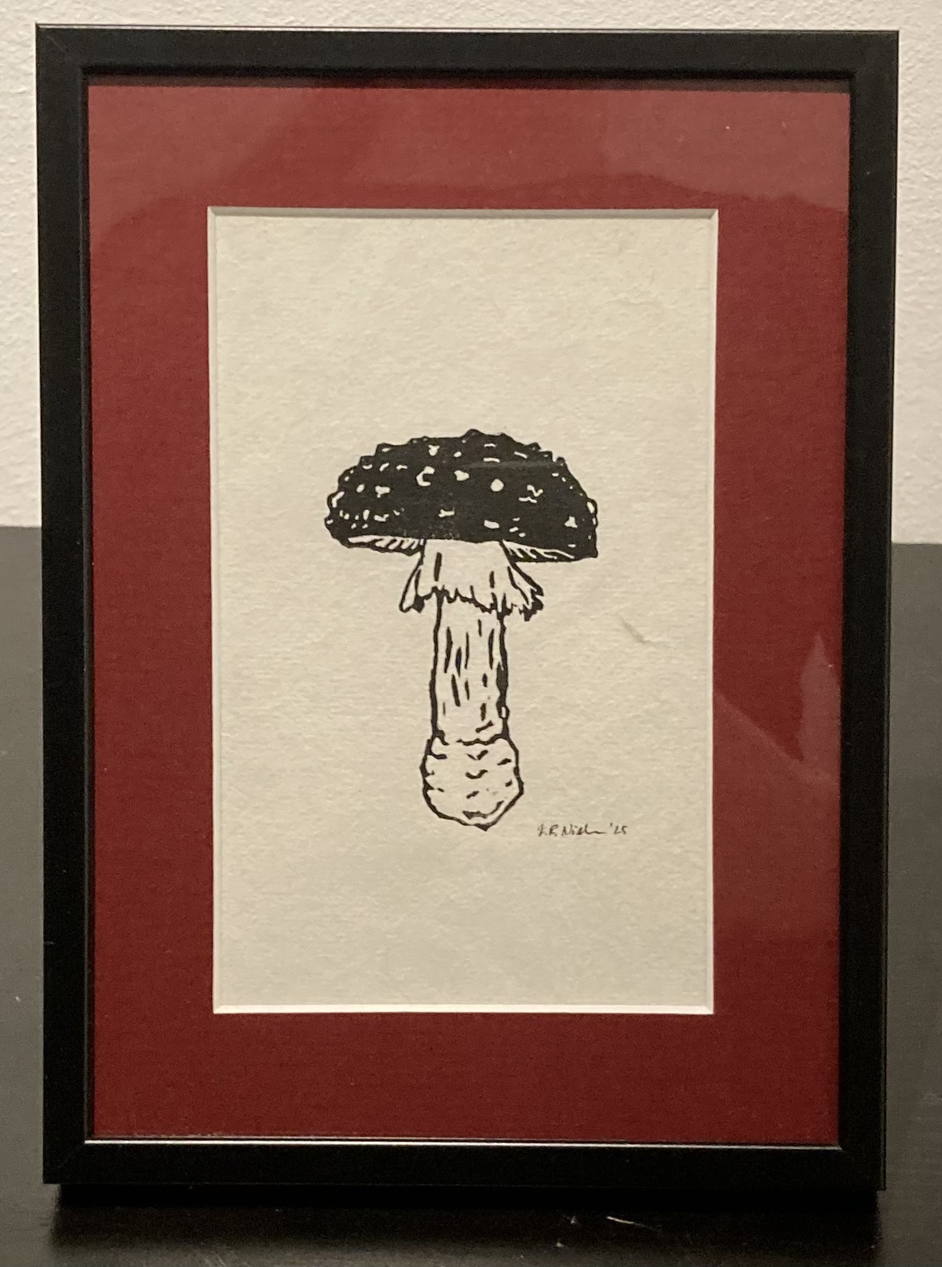 Amanita muscaria, Fliegenpilz (klein)